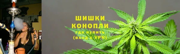 гашиш Богданович