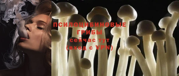 гашиш Богданович