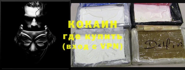 гашиш Богданович