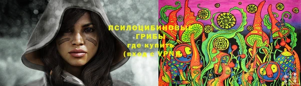 Альфа ПВП Сосновоборск