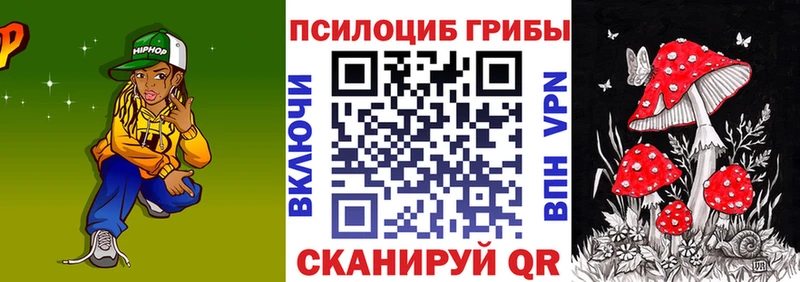 что такое   Олёкминск  Галлюциногенные грибы Psilocybine cubensis 